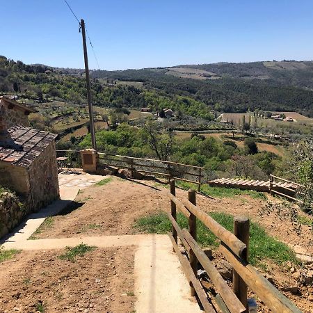 מונטלצ'ינו Podere Soccorso Casa Vigneto מראה חיצוני תמונה