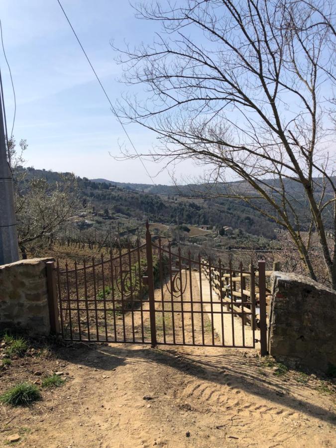 מונטלצ'ינו Podere Soccorso Casa Vigneto מראה חיצוני תמונה