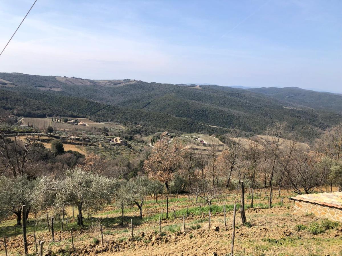 מונטלצ'ינו Podere Soccorso Casa Vigneto מראה חיצוני תמונה