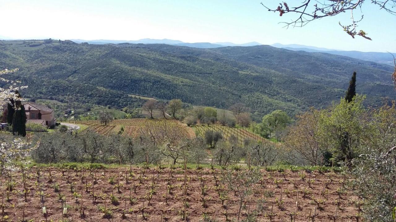 מונטלצ'ינו Podere Soccorso Casa Vigneto מראה חיצוני תמונה