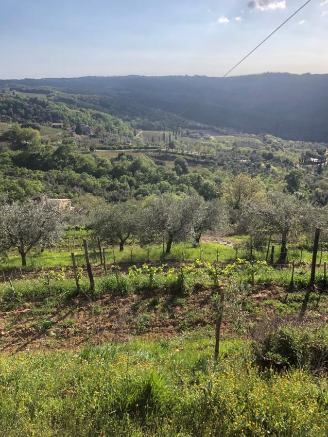 מונטלצ'ינו Podere Soccorso Casa Vigneto מראה חיצוני תמונה