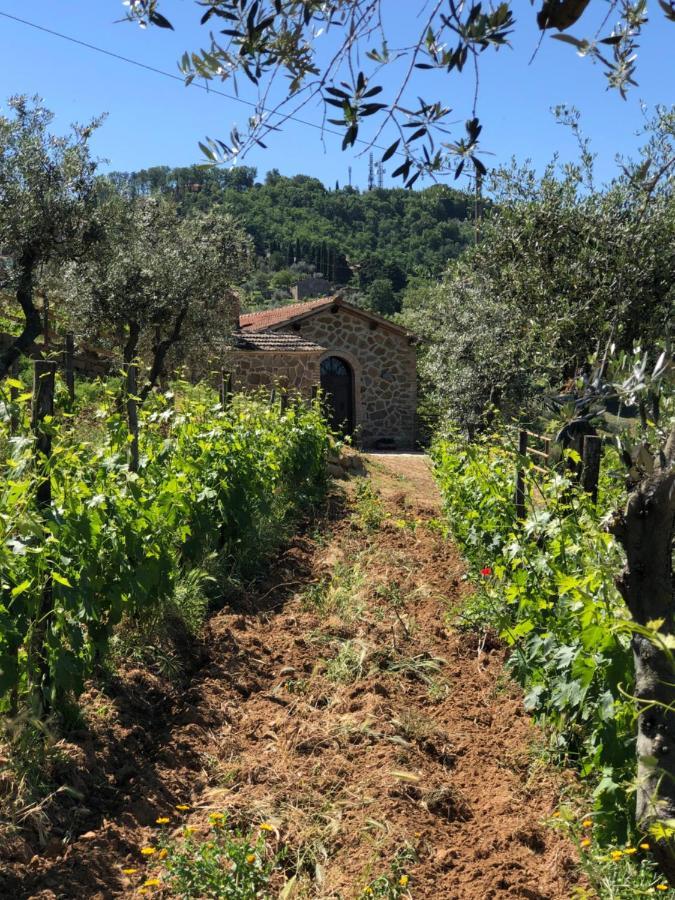 מונטלצ'ינו Podere Soccorso Casa Vigneto מראה חיצוני תמונה